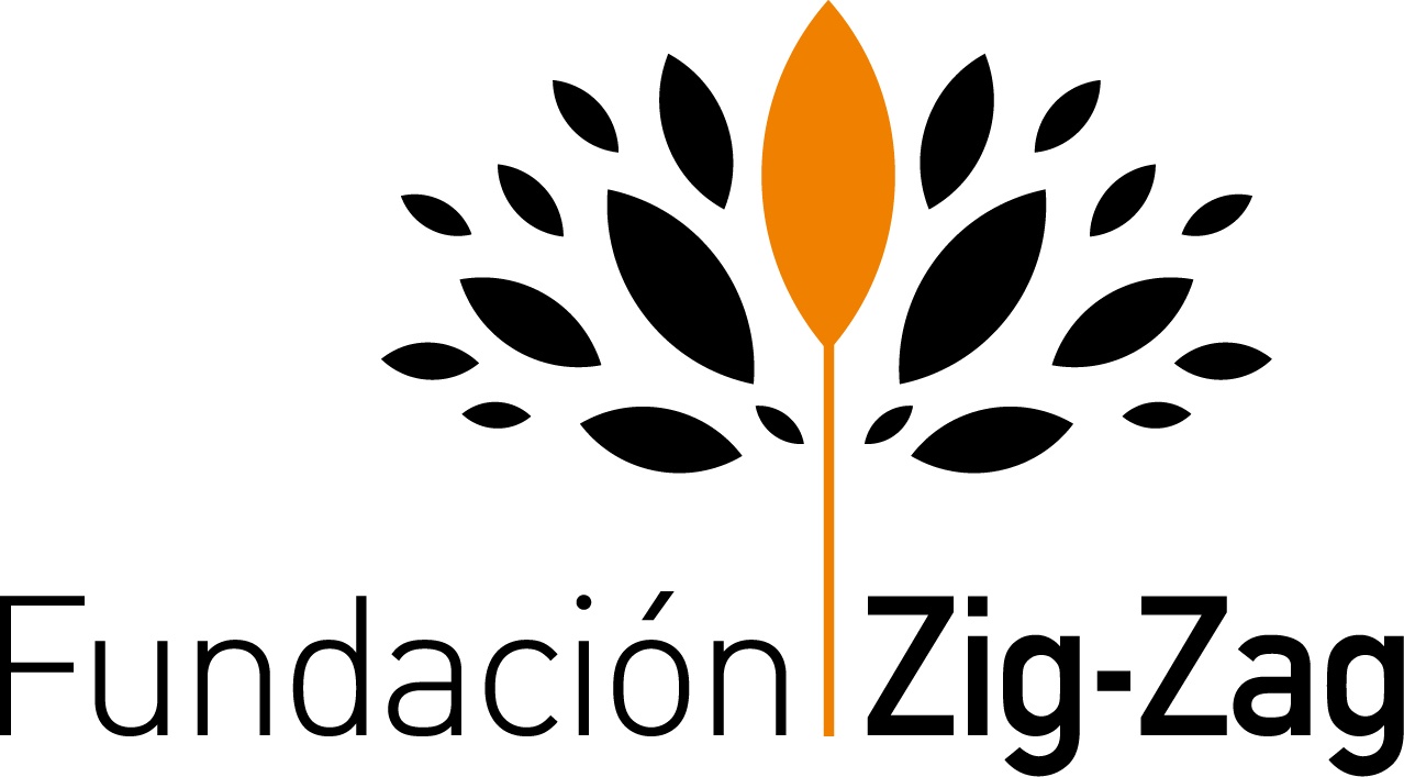 Fundación Zig Zag